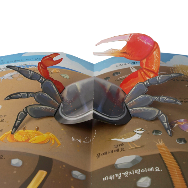 [생태 세트] 펀북 생태 3단계 팝업북 11종