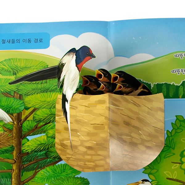 [생태 세트] 펀북 생태 3단계 팝업북 11종